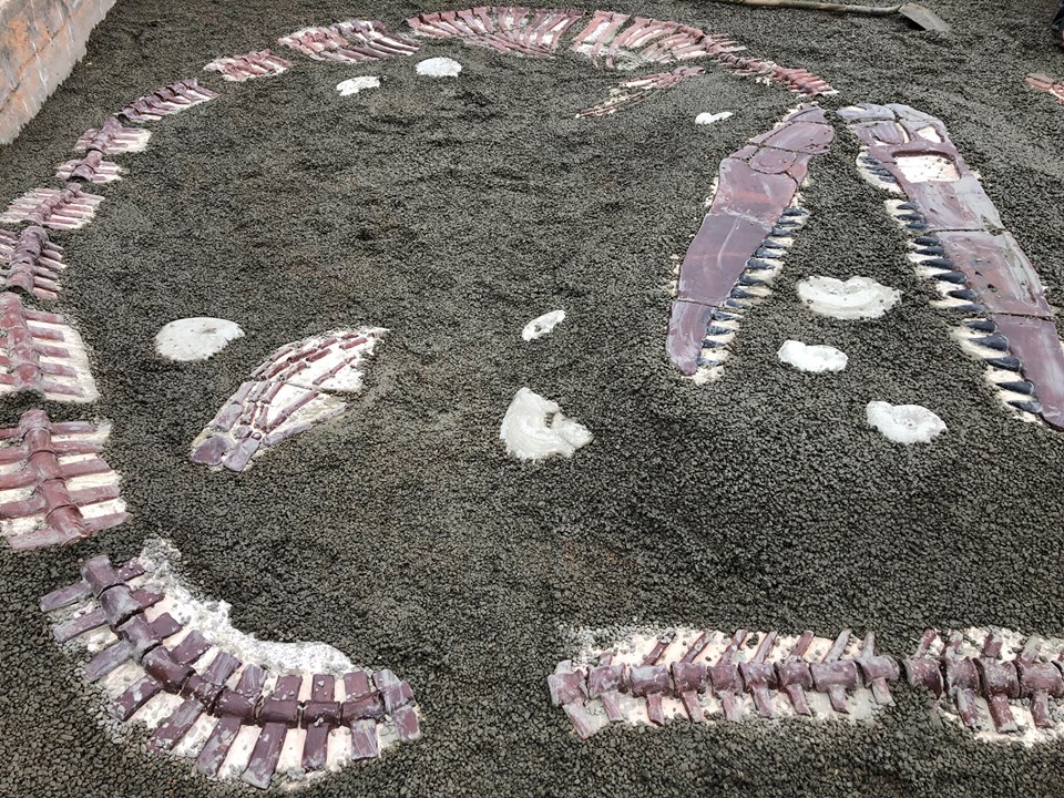 image of mosassaurus dig pit for children