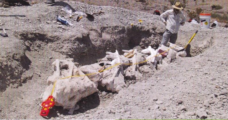 Image of dinasaur dig pit
